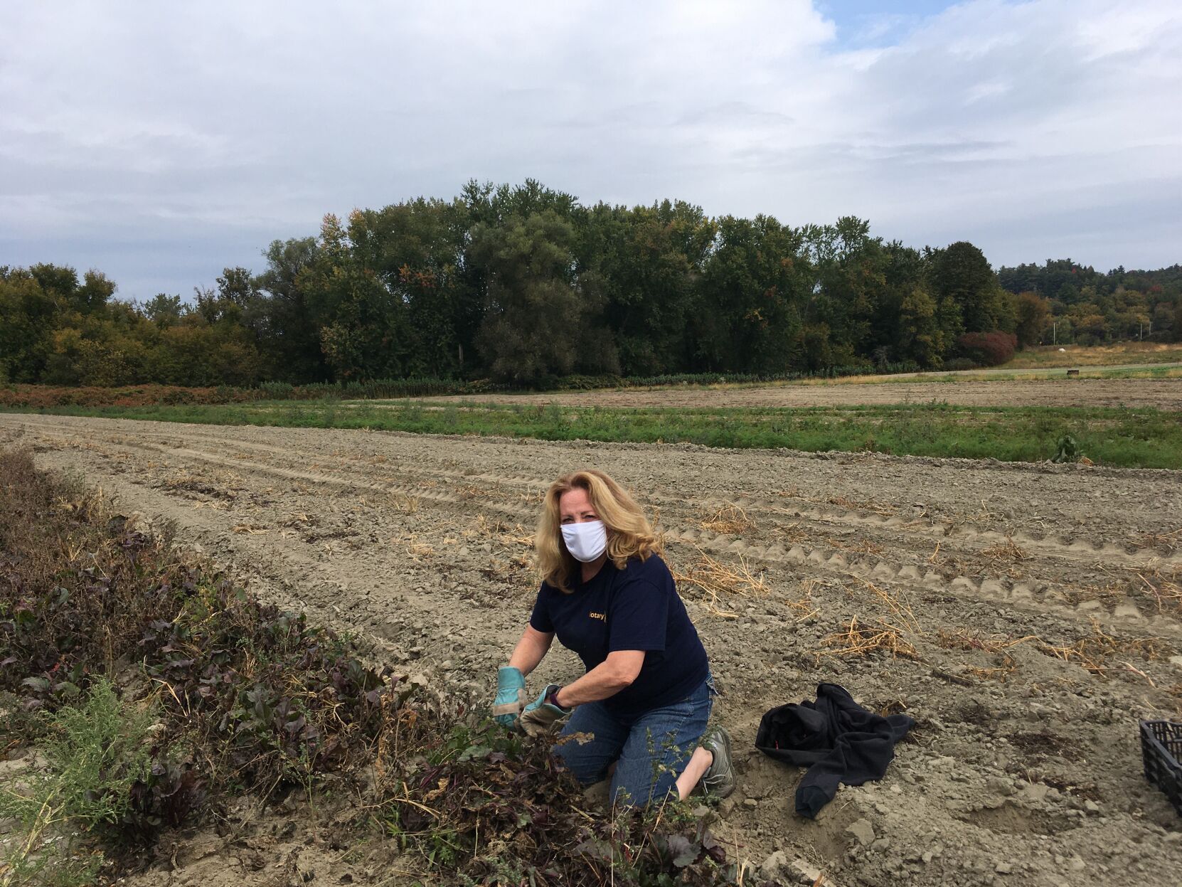 Rotary Gleaning 1